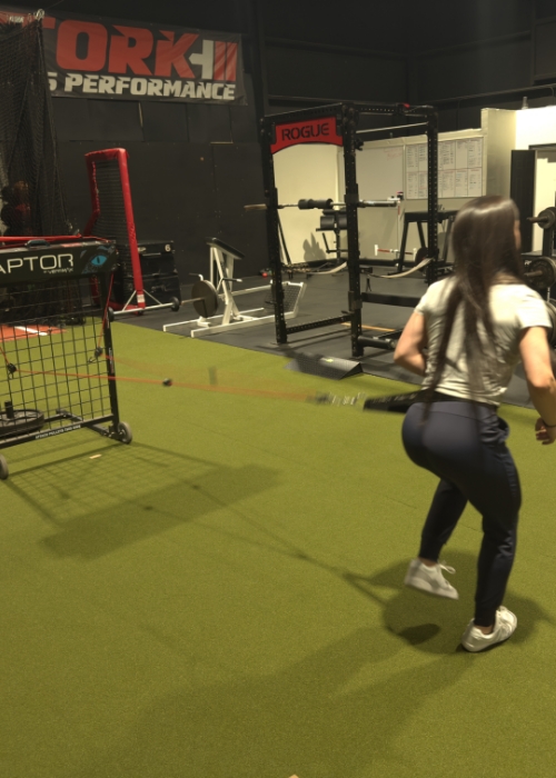 Raptor-image-Tork-Sports-Performance-Saint-Augustine-FL