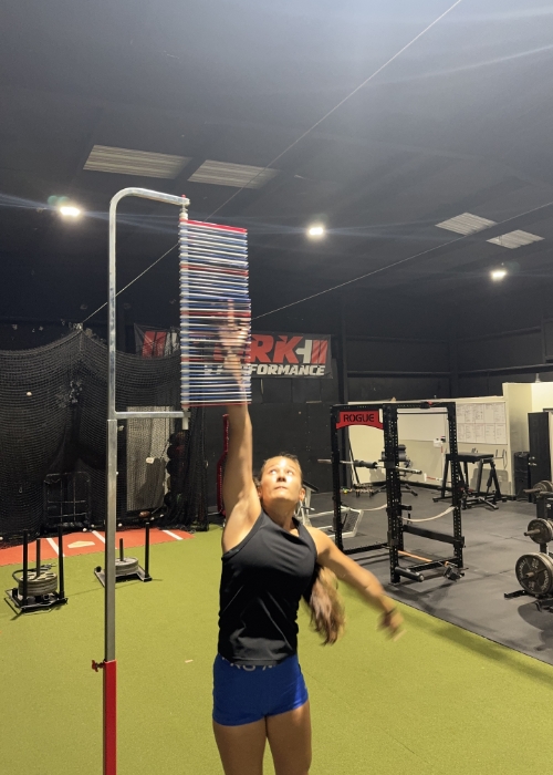 vertex-Tork-Sports-Performance-Saint-Augustine-FL
